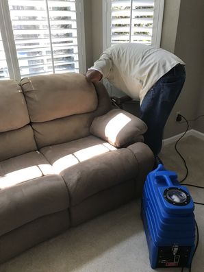 Carpet Cleaning in Berkeley, CA
Elliott is extracting carpet using the new hose machine which is a used for deep cleaning on carpets! (2)